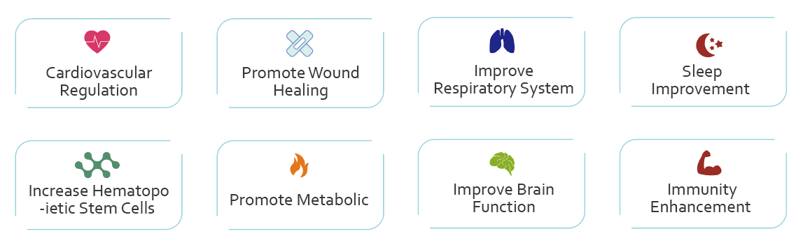 Hyperbaric chamber operation overview