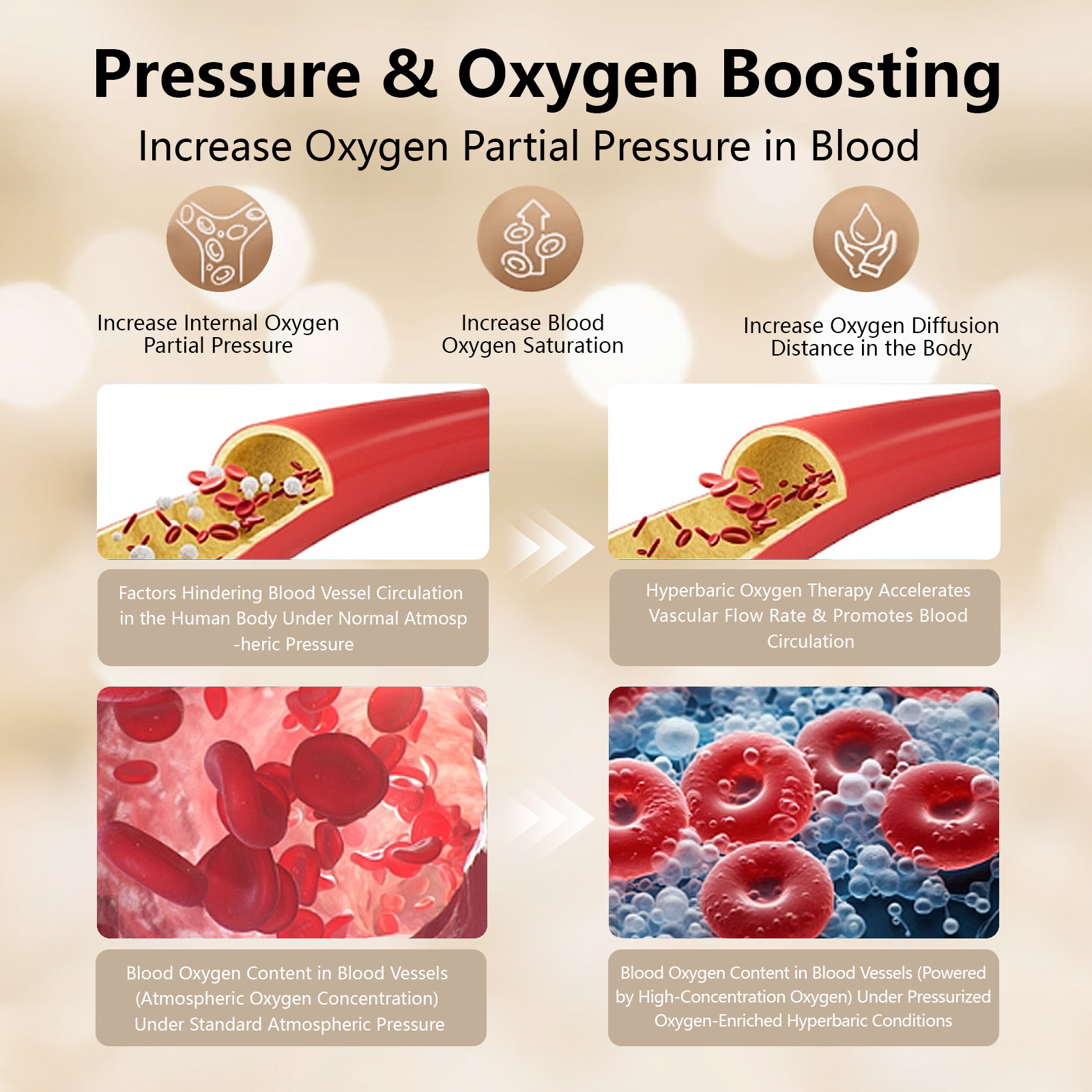 Integrated Sitting&Lying Hyperbaric Chamber for Business Use - View 8