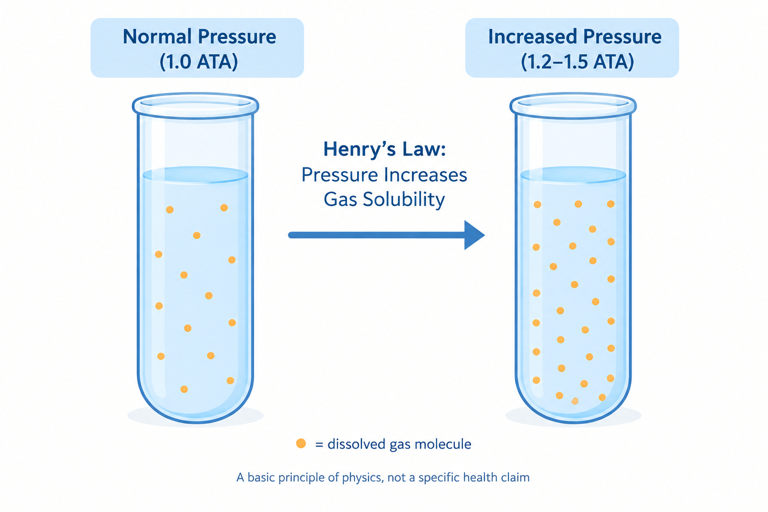 Illustration of Henry's Law: higher pressure lets more oxygen dissolve into blood plasma